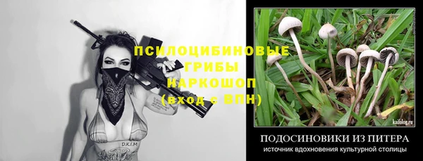 мдпв Нея