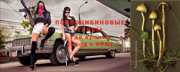 apvp Нефтекумск