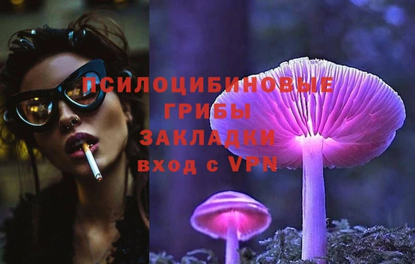мдпв Нея