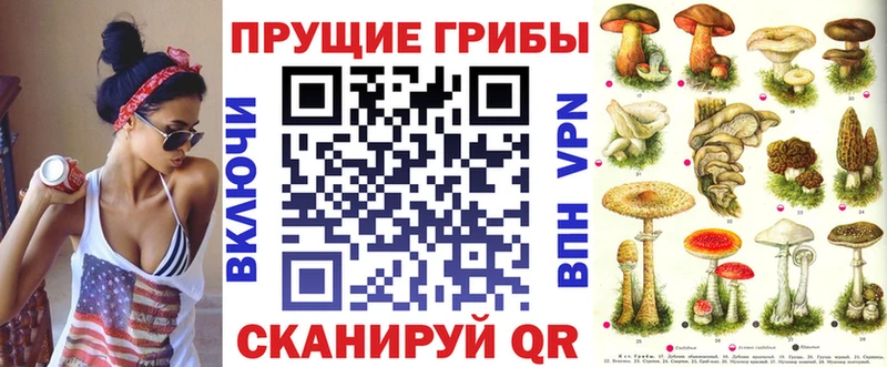 Купить закладки  Томмот  Псилоцибиновые грибы Psilocybe 